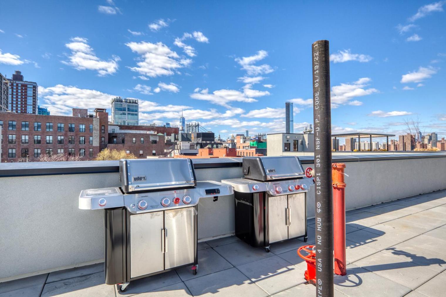 Dumbo 2br W Wd Roof Gym Nr Timeout Building Nyc-960 Apartment *